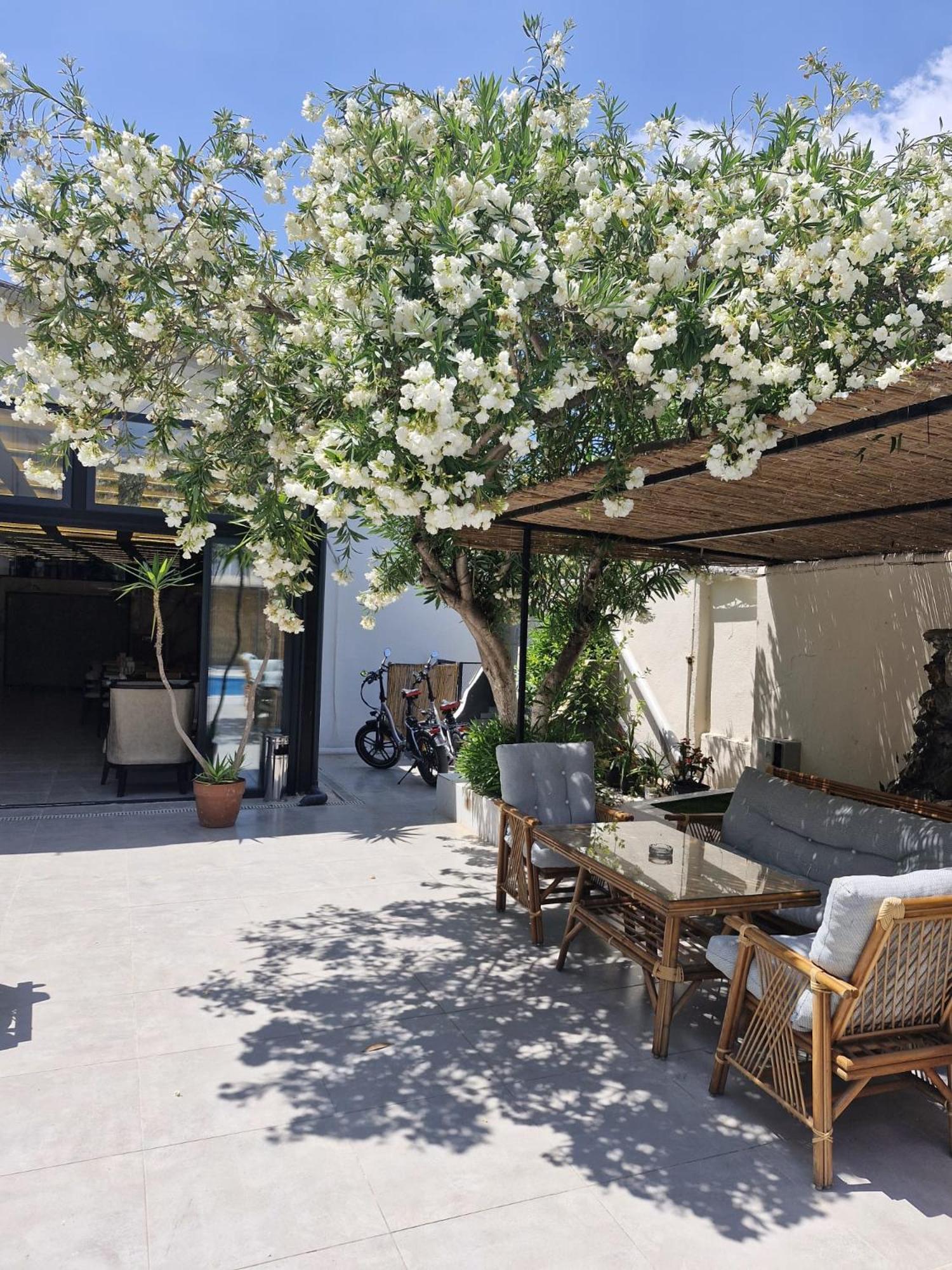 Vois Kemer Otel Antalya