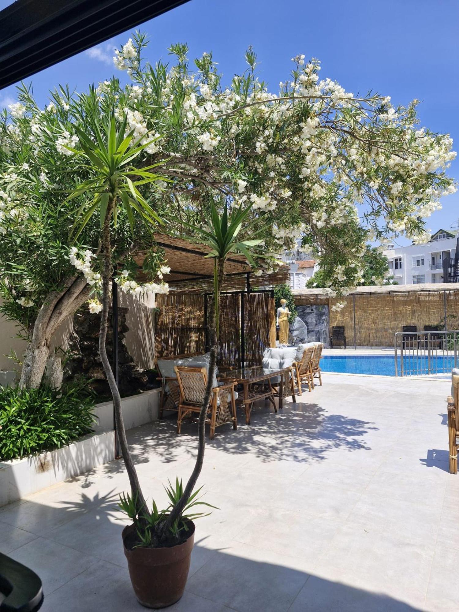 Vois Kemer Otel 3*